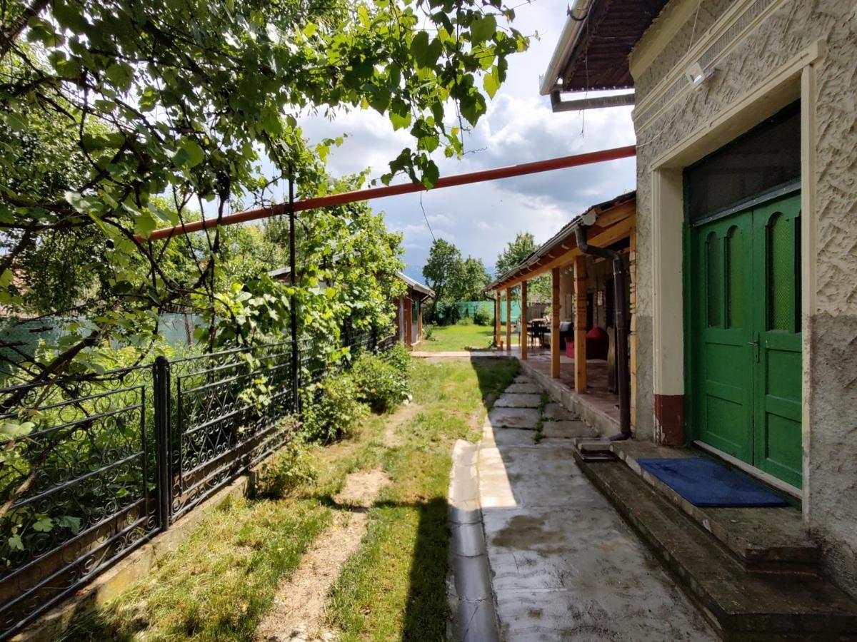 La Tataia Zahei Hotel Dragus Ngoại thất bức ảnh