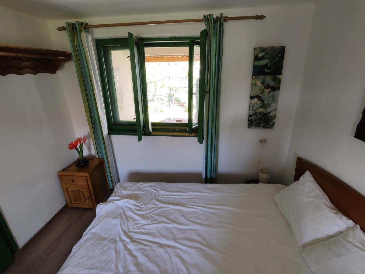 La Tataia Zahei Hotel Dragus Ngoại thất bức ảnh